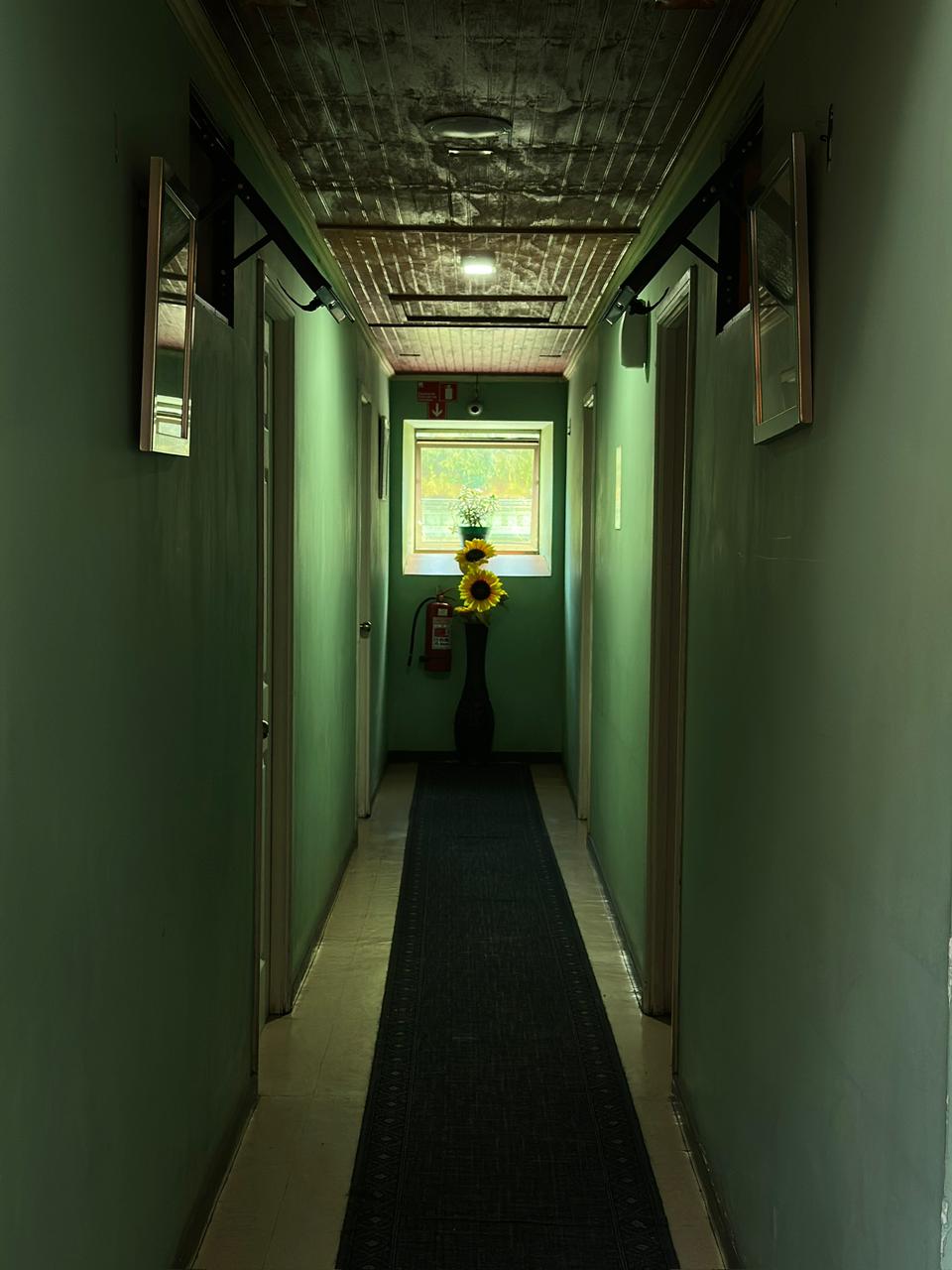 Pasillo interior con plantas